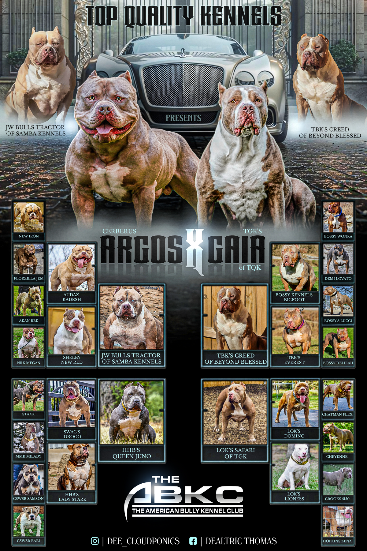 Cerberus' Argos x TGK Gaia of TQK